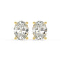 Oval Studs